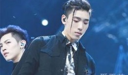 王子异最新爆料,揭秘娱乐圈背后的惊人真相